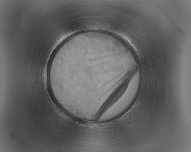 X0000116591032200912291304