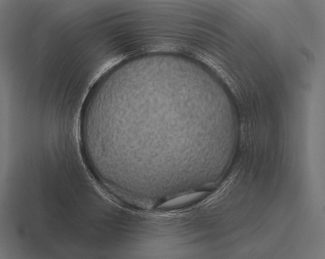 X0000116591034200912291304