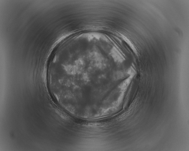 X0000116591035200912291304