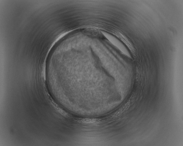 X0000116591036200912291304