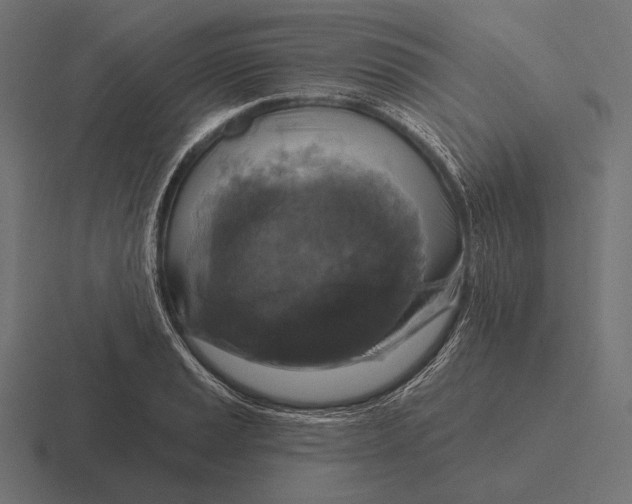 X0000116591037200912291304