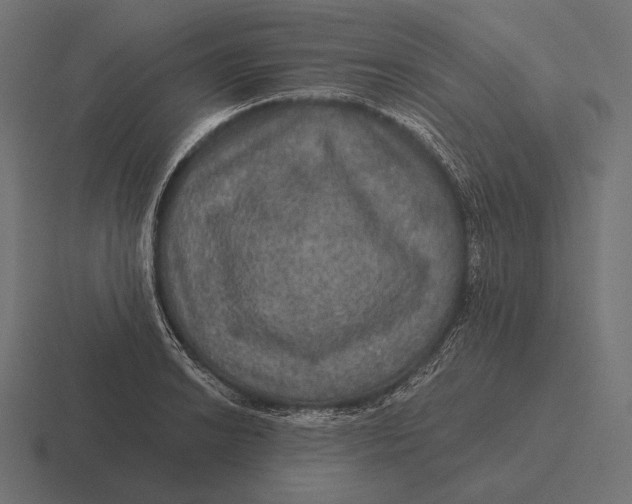 X0000116591038200912291304