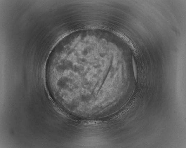 X0000116591039200912291304