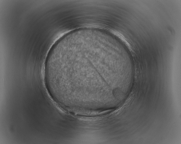 X0000116591040200912291304