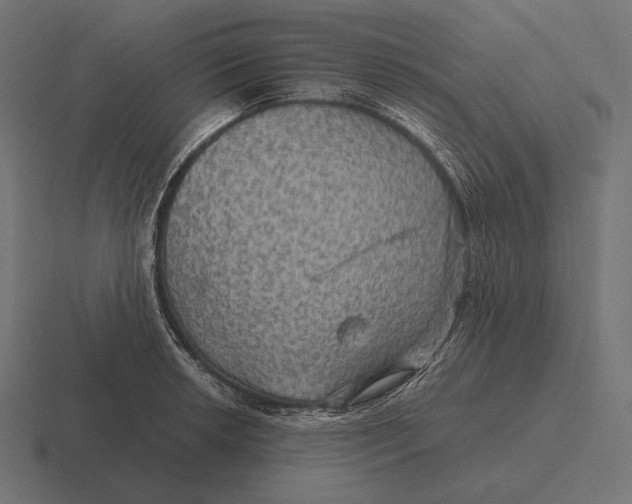 X0000116591042200912291304