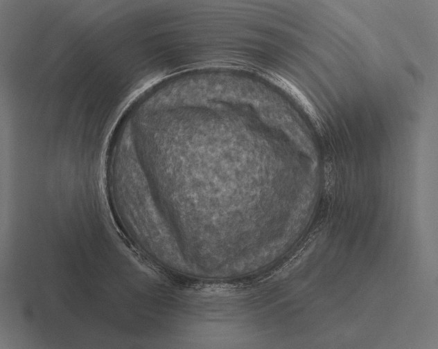 X0000116591043200912291304