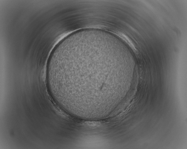 X0000116591044200912291304