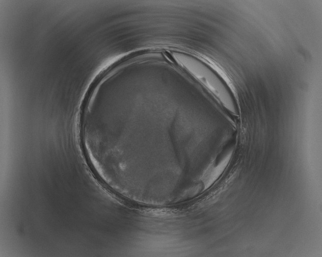 X0000116591045200912291304