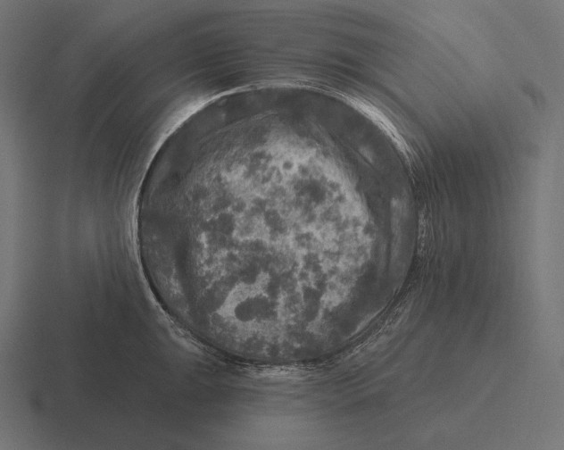 X0000116591047200912291304