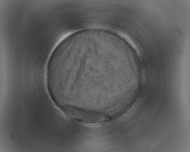 X0000116591048200912291304