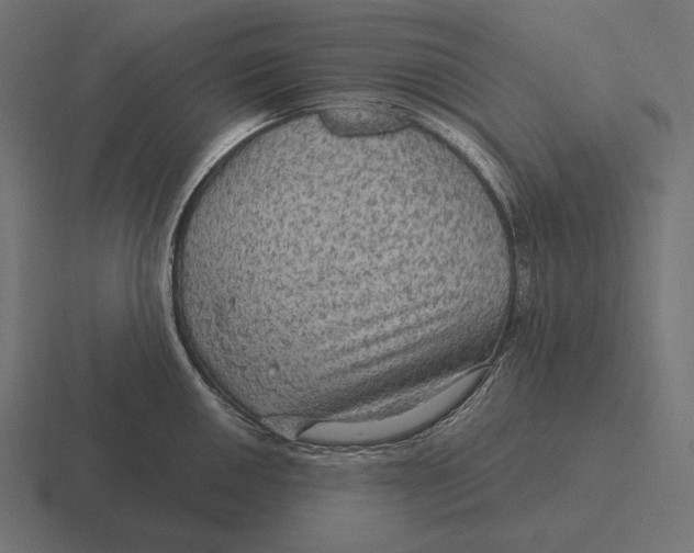 X0000116591050200912291304