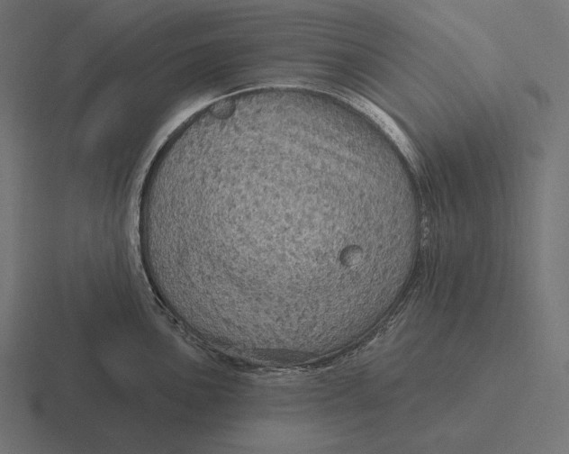 X0000116591051200912291304