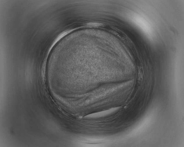 X0000116591052200912291304