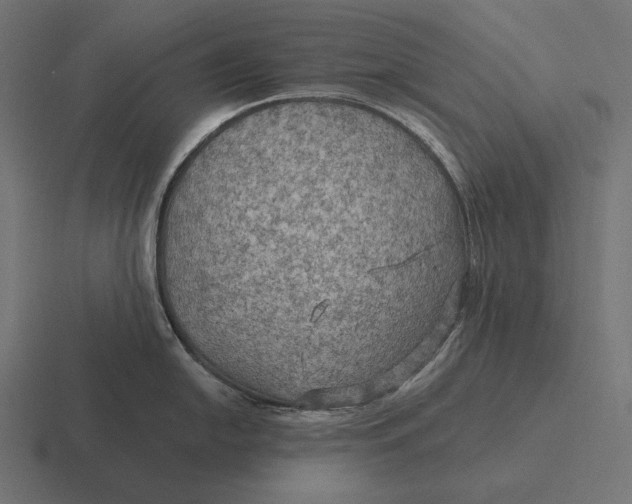 X0000116591054200912291304