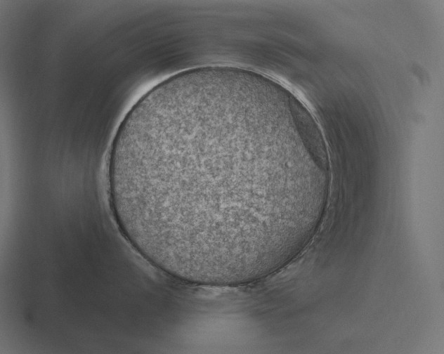 X0000116591056200912291304