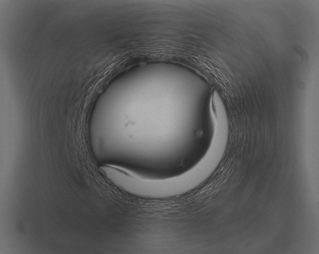 X0000116591057200912291304