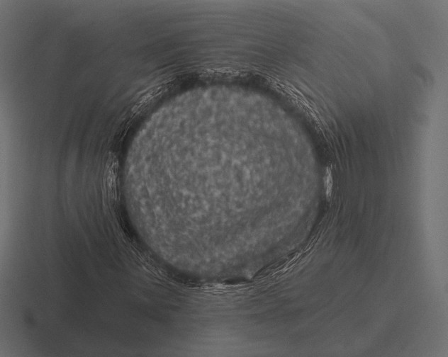 X0000116591059200912291304