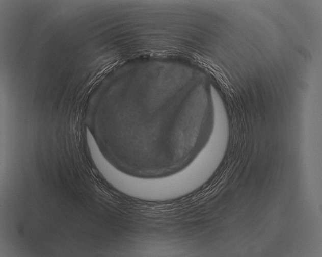 X0000116591060200912291304