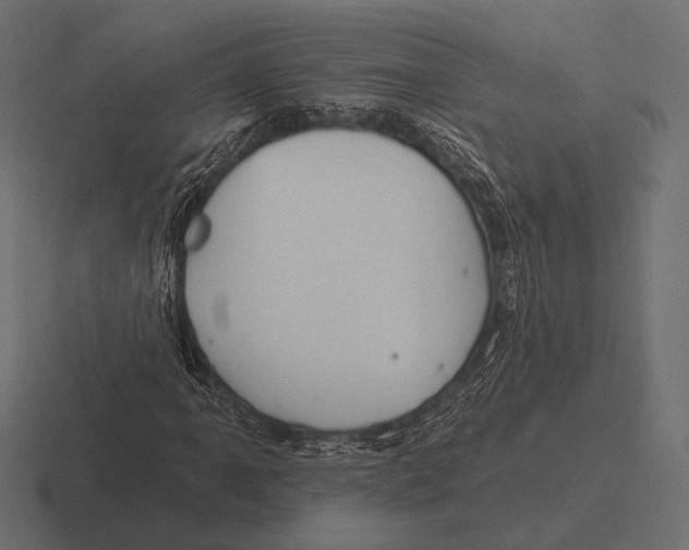 X0000116591061200912291304