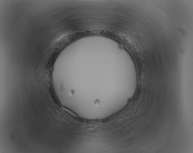 X0000116591062200912291303