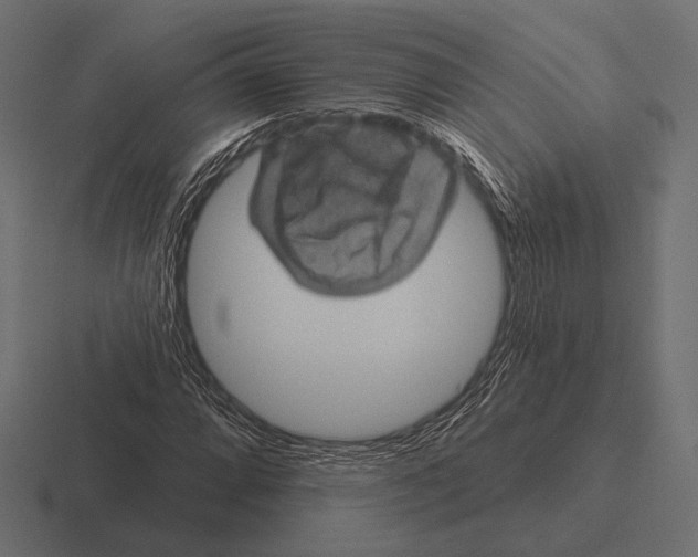 X0000116591064200912291303