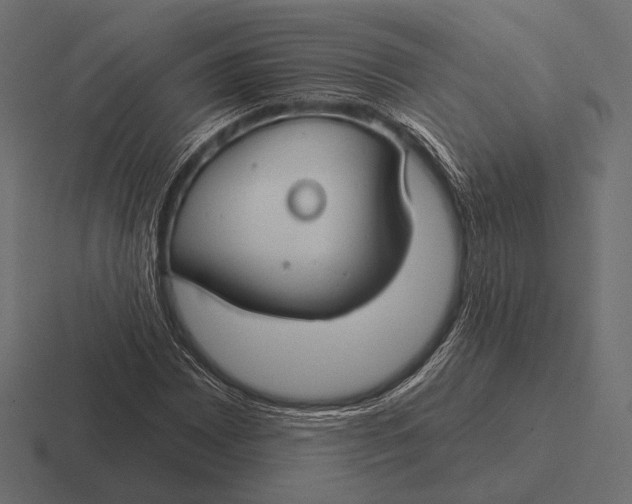 X0000116591065200912291303