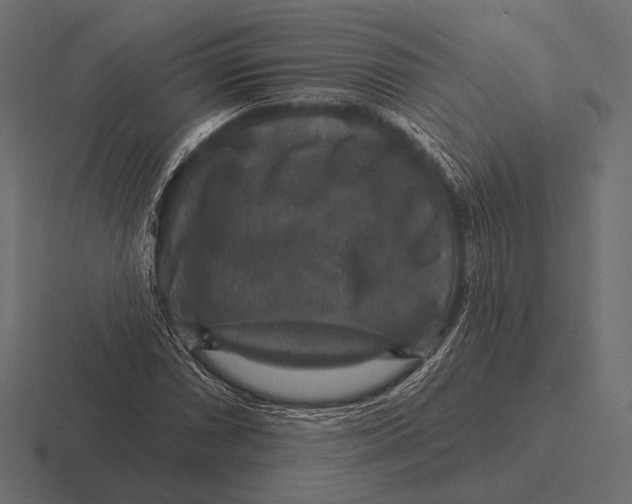 X0000116591066200912291303