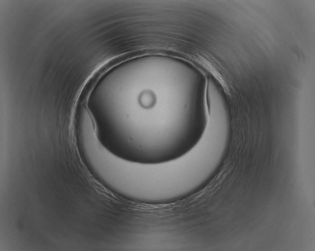 X0000116591068200912291303