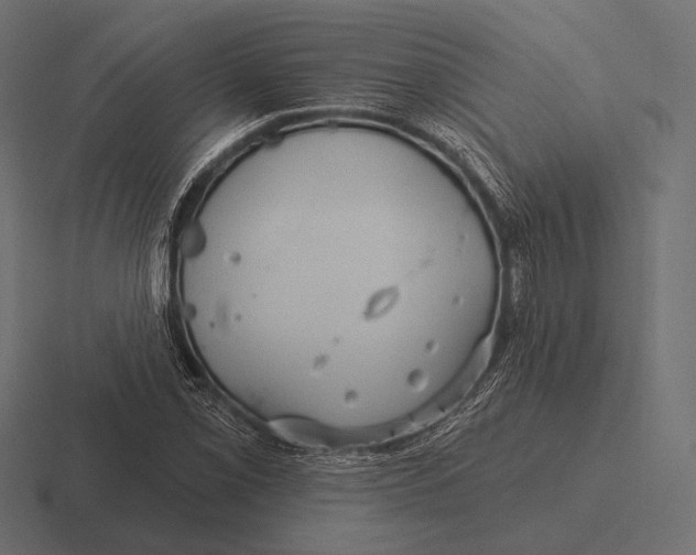 X0000116591069200912291303