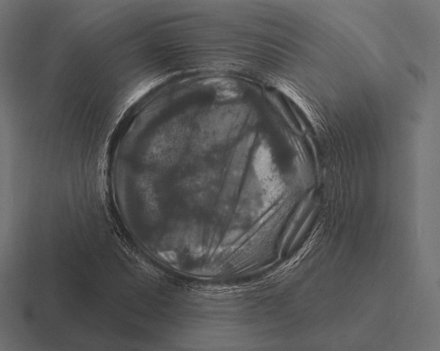 X0000116591071200912291303