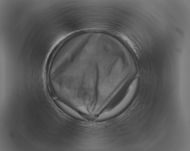 X0000116591072200912291303