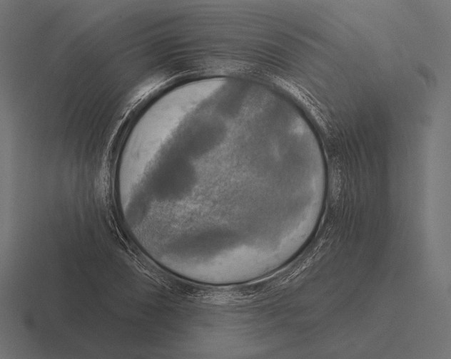 X0000116591074200912291303