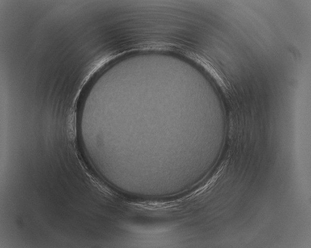 X0000116591075200912291303