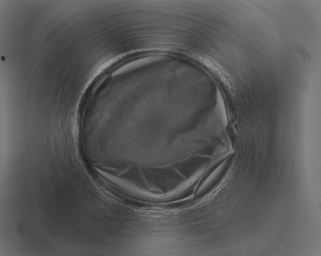 X0000116591077200912291303