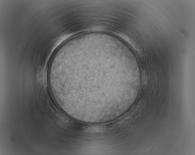 X0000116591078200912291303