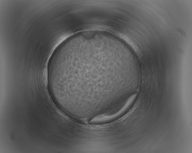 X0000116591079200912291303