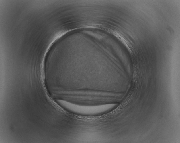 X0000116591080200912291303