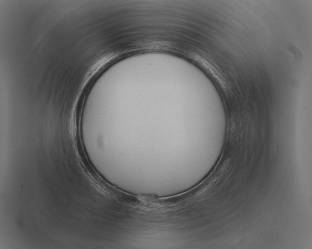 X0000116591082200912291303