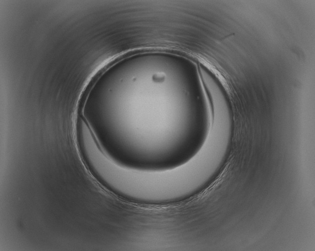 X0000116591085200912291303