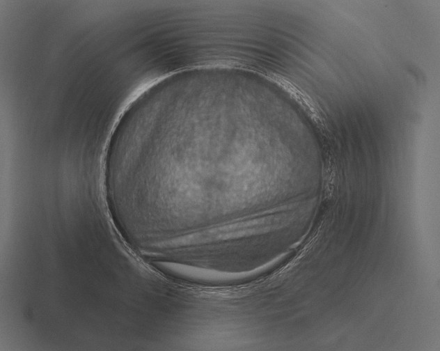 X0000116591086200912291303