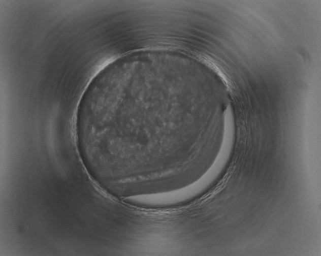 X0000116591087200912291303