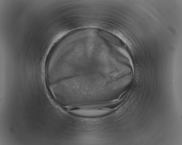 X0000116591088200912291303