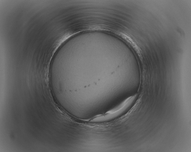 X0000116591089200912291303