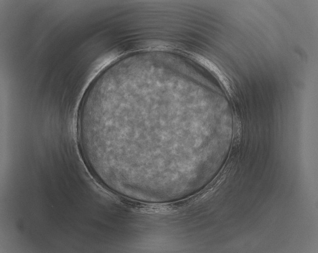 X0000116591090200912291303