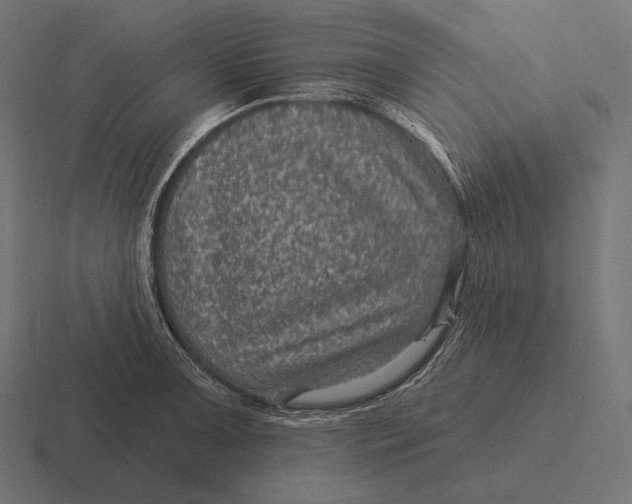 X0000116591091200912291303