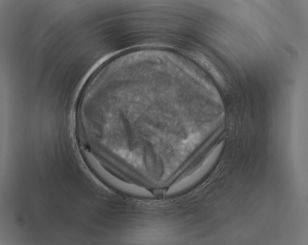 X0000116591092200912291303