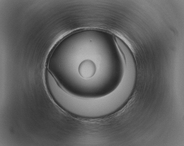 X0000116591093200912291303