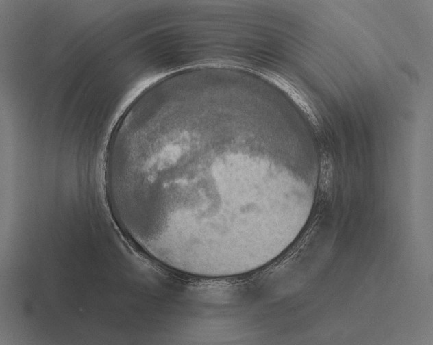 X0000116591094200912291303