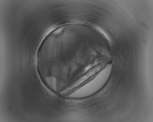 X0000116591095200912291303