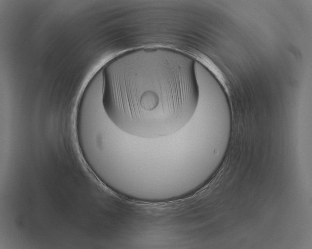 X0000116591096200912291303